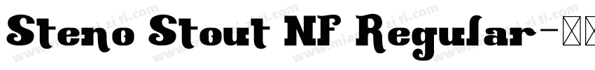 Steno Stout NF Regular字体转换